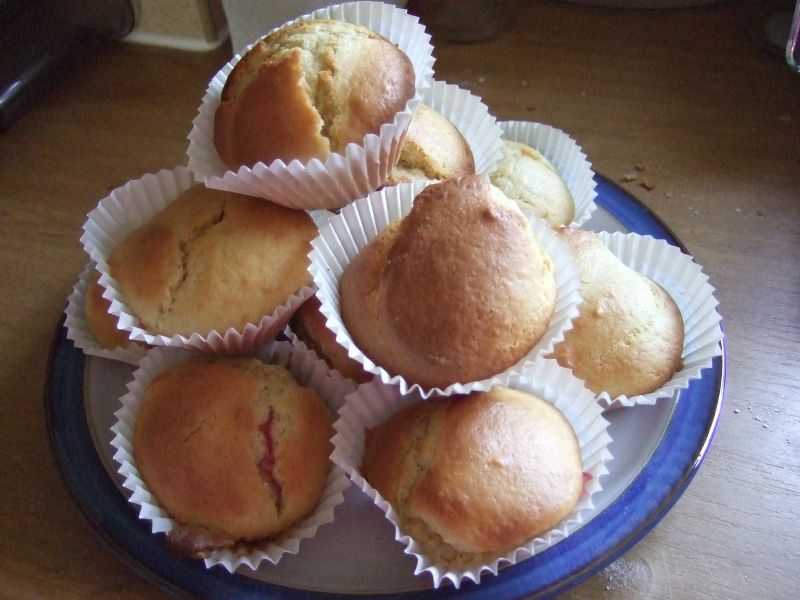 Blueberry Lemon & Crumb Muffins