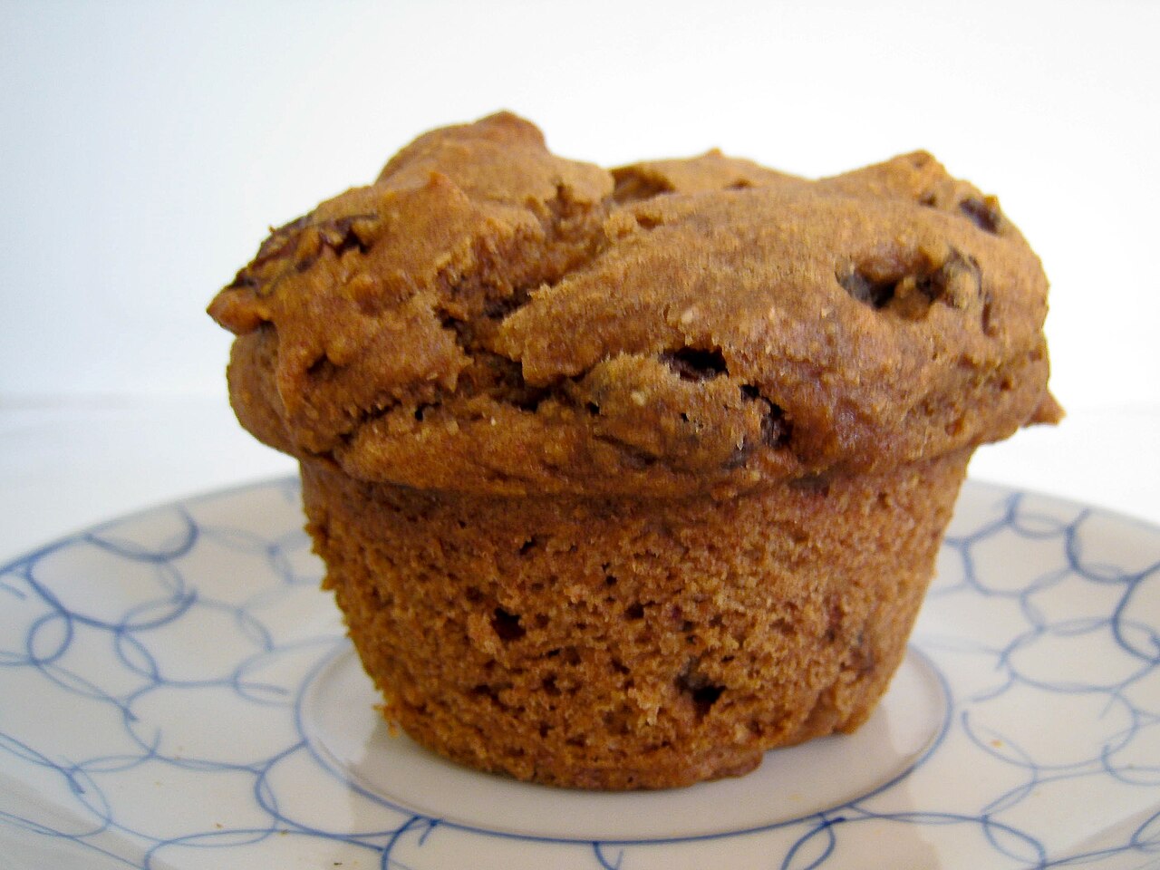 Orange Cranberry & Oat Muffins